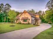 Homeowners Insurance and Trees